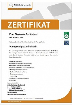 Sturzprophylaxe Trainer