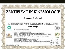 Kinesiologie